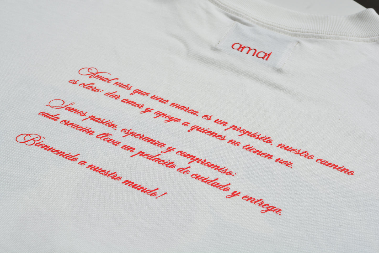 Camiseta oversized Josefina