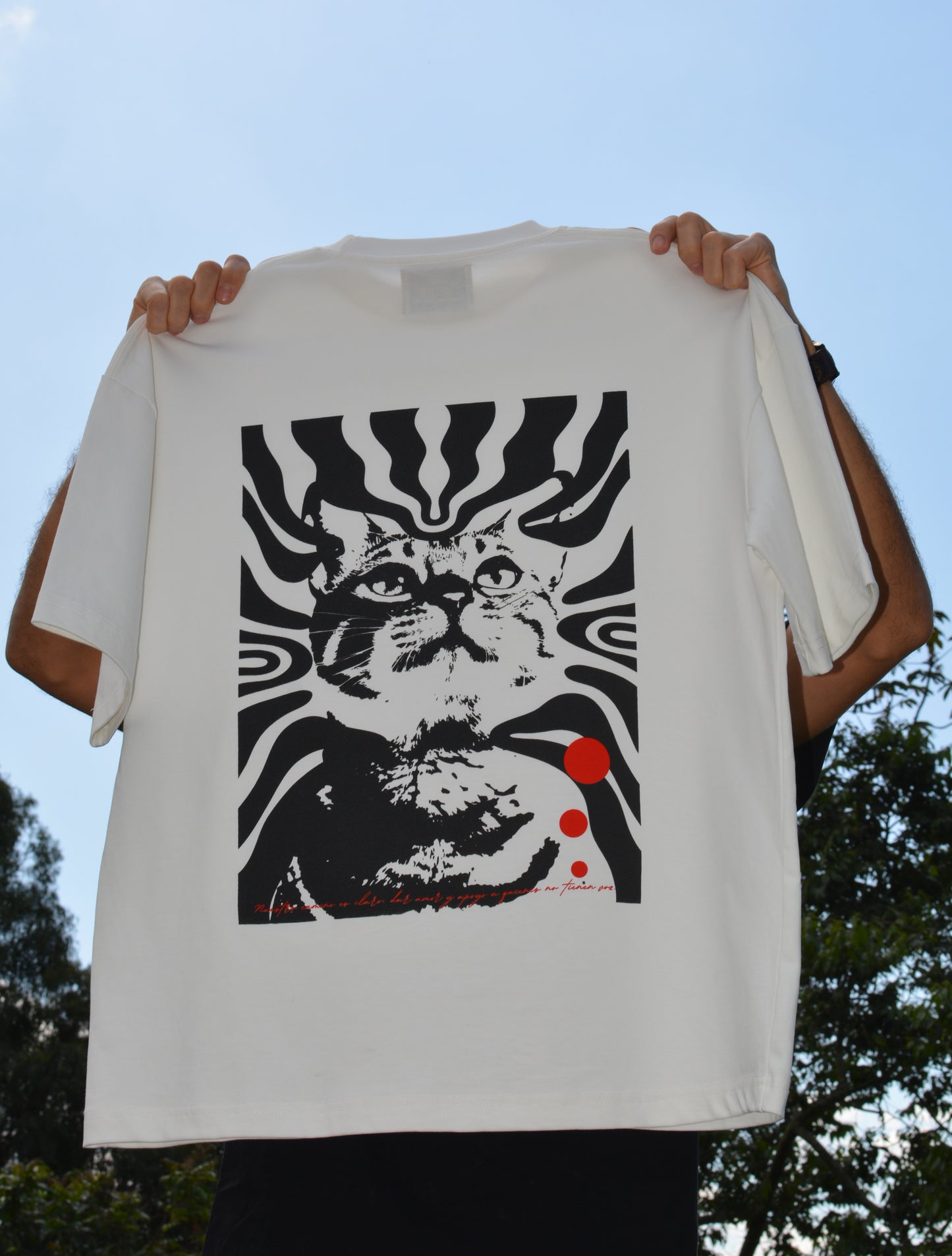 Camiseta oversized Pistacho