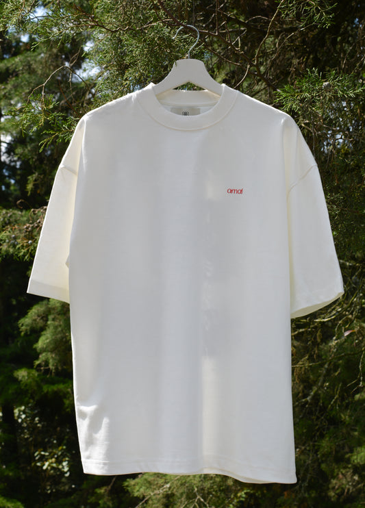 Camiseta oversized Eva